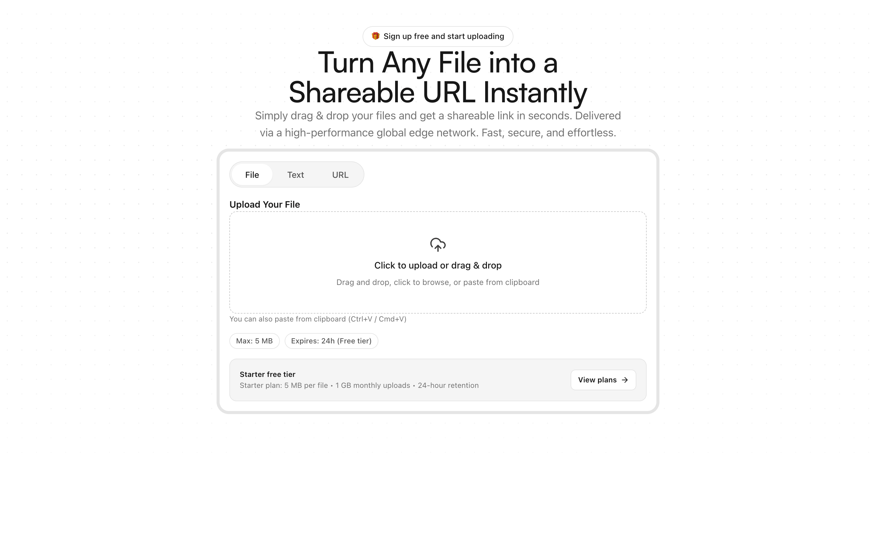 AnyToURL homepage with the file upload area and the File, Text, and URL input modes.