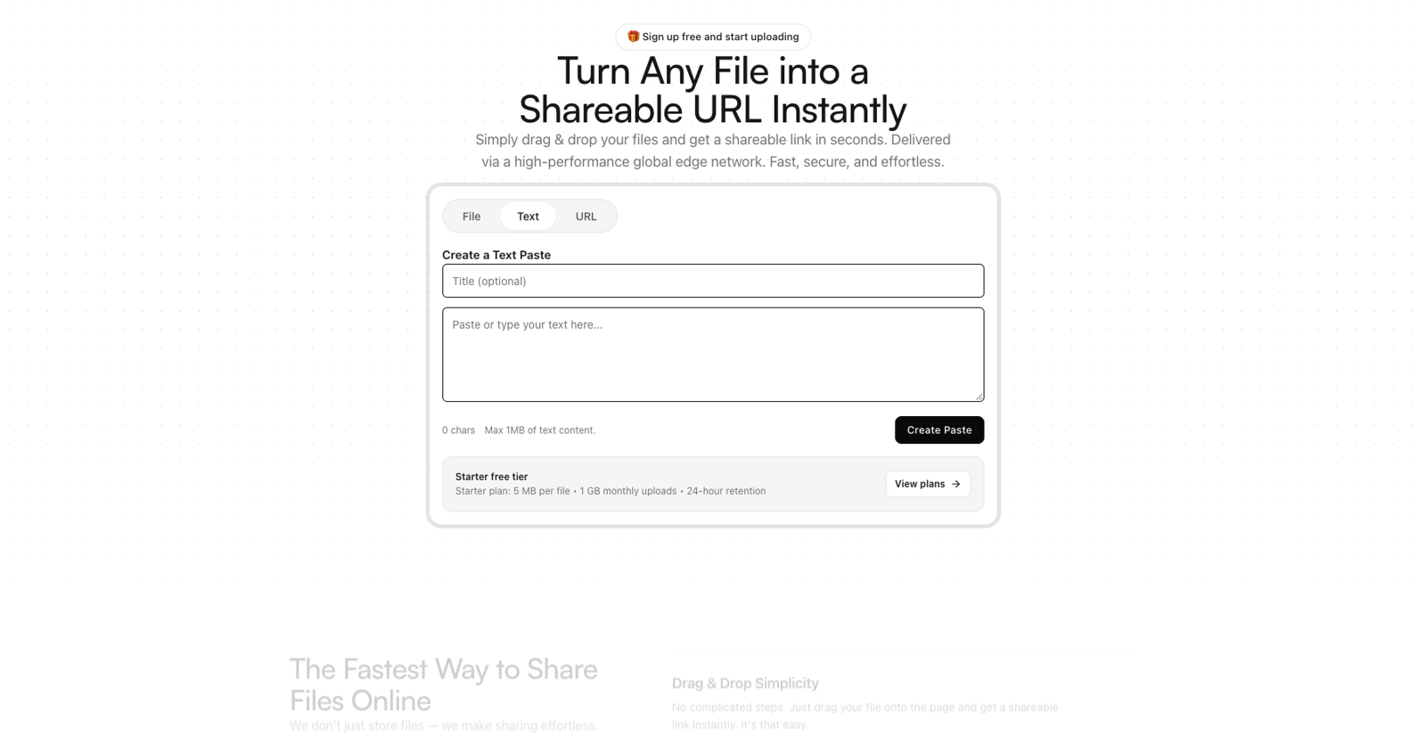 AnyToURL's Text tab where pasted text becomes a shareable link